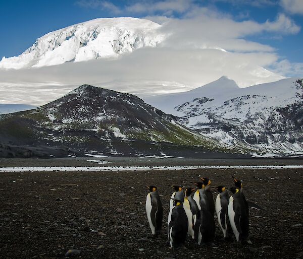 Three mountain peaks with snow around one and penguins in the foreground